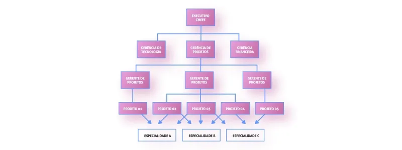 Organograma por Projeto